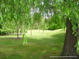 Picnic Lawn